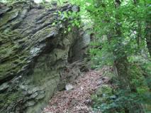 Erdheilerin+ Weibliche Kraft stärken